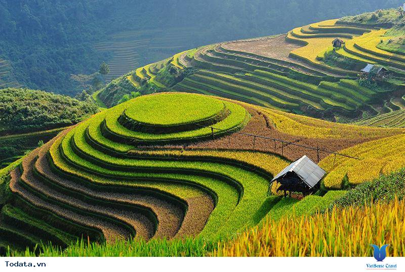 Thông tin hữu ích khi đi du lịch mù cang chải